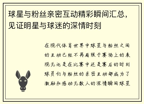 球星与粉丝亲密互动精彩瞬间汇总，见证明星与球迷的深情时刻
