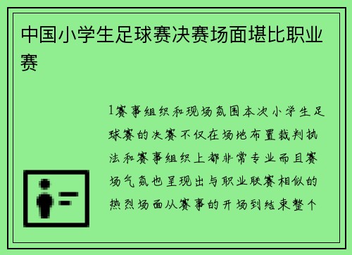中国小学生足球赛决赛场面堪比职业赛